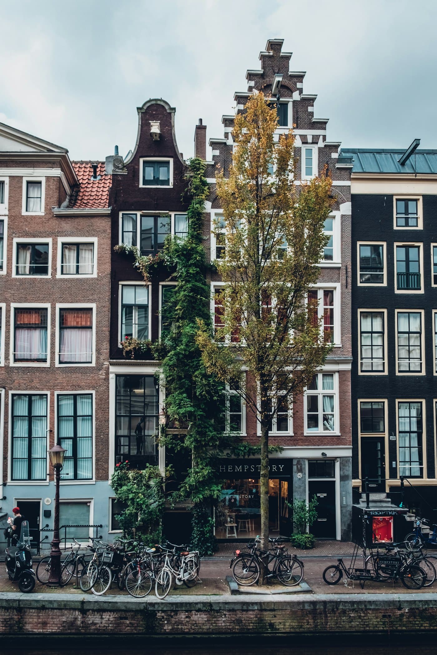 Canal houses in Amsterdam with bicycles and trees